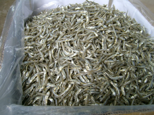 Hải sản